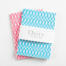 Load image into Gallery viewer, Pack of Two Flash Pocketbooks, Hot Pink and Swimming Pool Blue