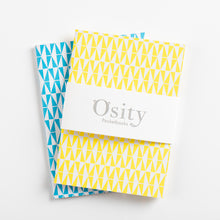 Load image into Gallery viewer, Pack of Two Flash Pocketbooks, Swimming Pool Blue and Luminous Yellow