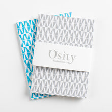 Load image into Gallery viewer, Pack of Two Flash Pocketbooks, Swimming Pool Blue and Subtle Silver