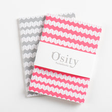 Load image into Gallery viewer, Pack of Two Jazz Pocketbooks, Hot Pink and Subtle Silver