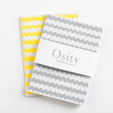 Load image into Gallery viewer, Pack of Two Jazz Pocketbooks, Luminous Yellow and Subtle Silver