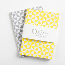 Load image into Gallery viewer, Pack of Two Windmill Pocketbooks, Luminous Yellow and Subtle Silver