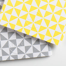 Load image into Gallery viewer, Pack of Two Windmill Pocketbooks, Luminous Yellow and Subtle Silver