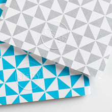 Load image into Gallery viewer, Pack of Two Windmill Pocketbooks, Swimming Pool Blue and Subtle Silver