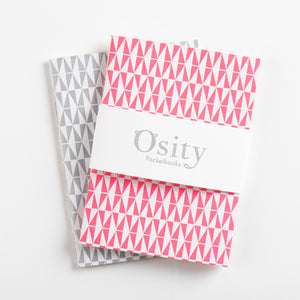 Pack of Two Flash Pocketbooks, Hot Pink and Subtle Silver