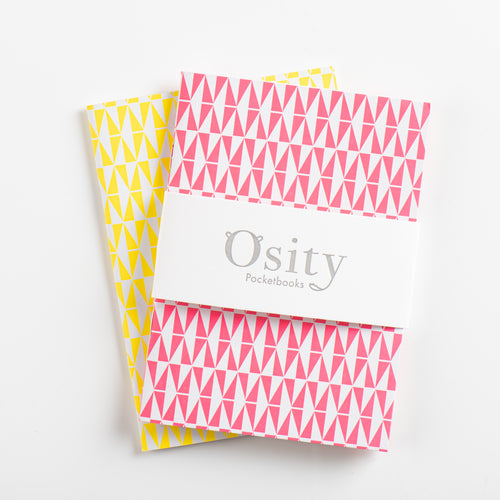 Pack of Two Flash Pocketbooks, Luminous Yellow and Hot Pink