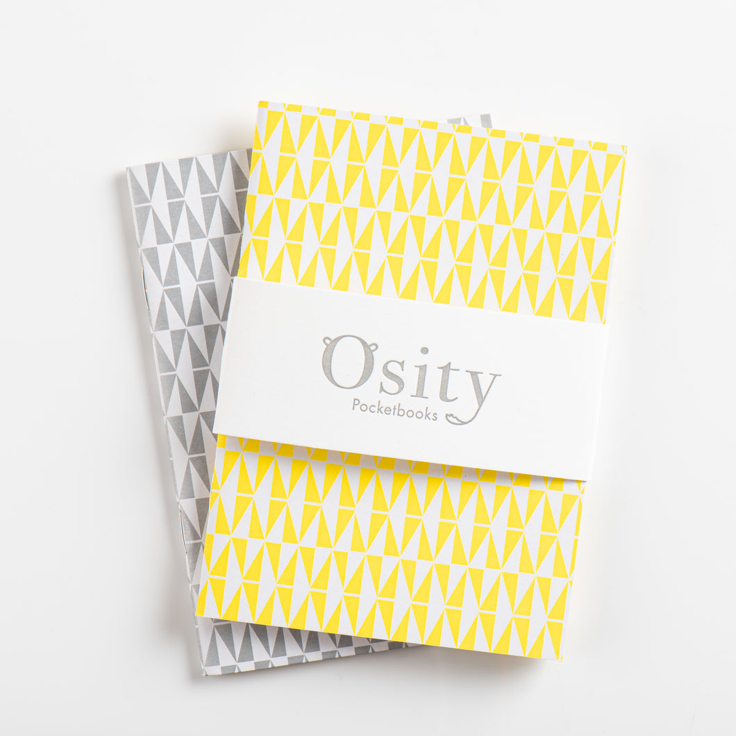 Pack of Two Flash Pocketbooks, Luminous Yellow and Subtle Silver