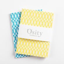 Load image into Gallery viewer, Pack of Two Flash Pocketbooks, Swimming Pool Blue and Luminous Yellow
