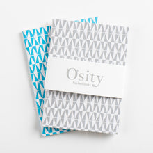 Load image into Gallery viewer, Pack of Two Flash Pocketbooks, Swimming Pool Blue and Subtle Silver
