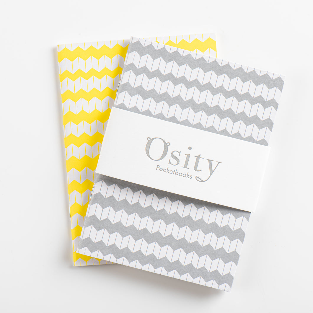 Pack of Two Jazz Pocketbooks, Luminous Yellow and Subtle Silver
