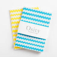 Pack of Two Jazz Pocketbooks, Swimming Pool Blue and Luminous Yellow