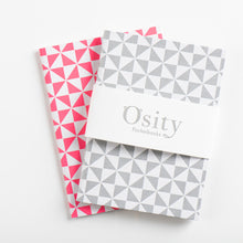 Load image into Gallery viewer, Pack of Two Windmill Pocketbooks, Hot Pink and Subtle Silver
