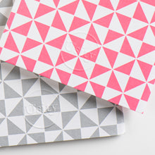 Load image into Gallery viewer, Pack of Two Windmill Pocketbooks, Hot Pink and Subtle Silver
